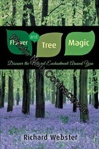 Flower and Tree Magic: Discover the Natural Enchantment Around You