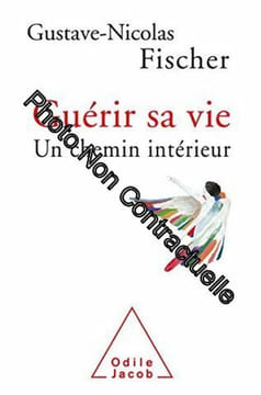 Guerir sa vie: Un chemin interieur. Fischer Gustave-Nicolas