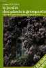 Le Jardin des plantes grimpantes (Les Guides Rustica). Charlotte TESTU