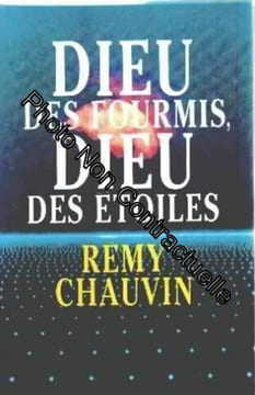 Dieu des fourmis Dieu des étoiles. undefined