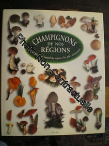 CHAMPIGNONS DE NOS REGIONS. Identifier facilement les espèces les plus courantes