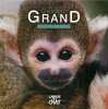 Devenir Grand - Petit Singe. DEMOITIÉ Pierre