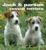 Jack et Parson russell terrier. Fournier Alain