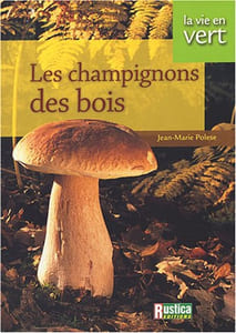 Vie en vert : Champignons des bois