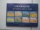 Chamalou Le Chameau Sous La Lluvia Cuento De à Colorier. Raymond Kuster