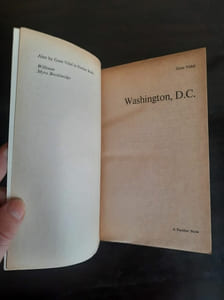 Washington D.C. - A Novel Panther Books
