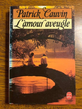 Dans les bras du vent. Patrick Cauvin