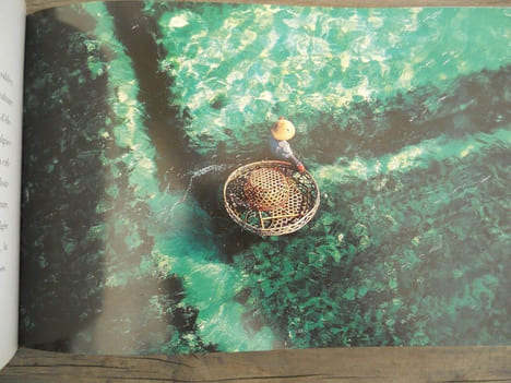 Yann arthus bertrand 365 jours pour la terre. Arthus Bertrand Yann