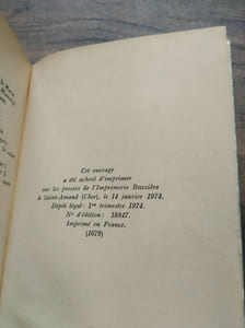 La neige et La fleur