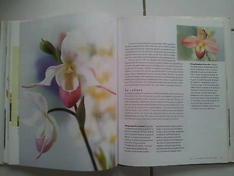 W et B Rittershausen Le grand livre des orchidées les connaitre les choisir. undefined