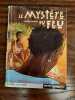 Le Myst&egrave;re du Feu Castor poche. Henning Mankell