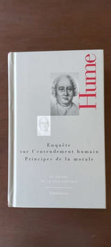 Hume Enquête sur l'entendement humain Principes de la morale flammarion 2008. undefined