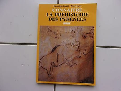 Jean Vaquer Connaitre la Préhistoire des Pyrénées. Dominique Sacchi
