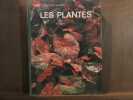 Les plantes Frits w went et Les Rédacteurs de LIFE. 