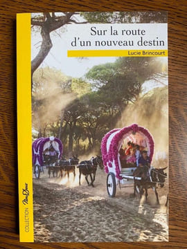 Sur la route d'un nouveau destin Nous deux. Lucie Brincourt