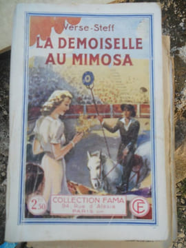 verse steff La demoiselle au mimosa Collection Fama n699. undefined