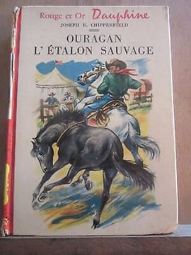 Joseph e chipperfield Ouragan l'étalon sauvage Rouge et Or dauphine. undefined