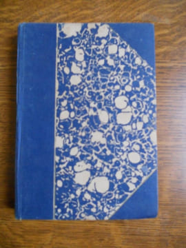 Mon petit trott Bibliothèque Reliée Plon n100. LICHTENBERGER André
