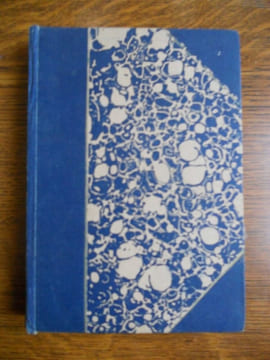 Mon petit trott Bibliothèque Reliée Plon n100. LICHTENBERGER André