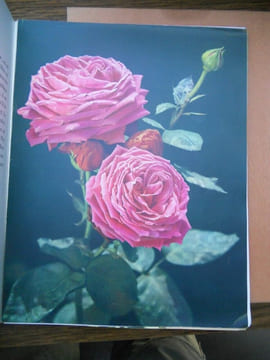 bonnet baillère lang Histoire des roses Editions j Baillière et fils. undefined