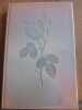 Louise de vilmorin Madame de illustrations d'Isabelle clermont Amis du Livre. 