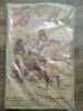 Jean de la hire Les trois boy-scouts 15 volumes. 