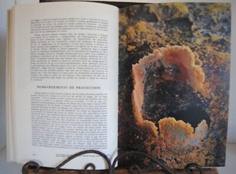 Fouquet CONNAISSANCE DU MONDE Tome II EXPLORATIONS. undefined