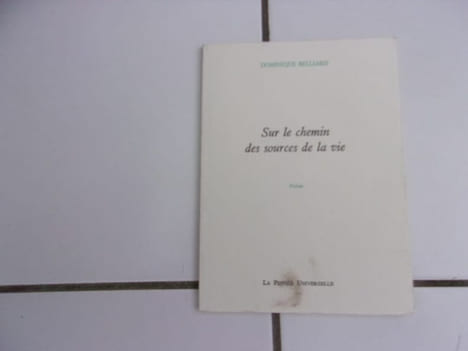 Sur le chemin des sources de la vie poésie. Dominique Belliard