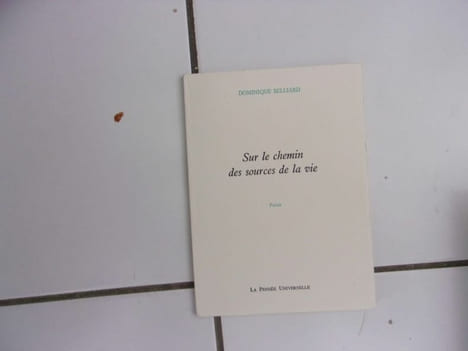 Sur le chemin des sources de la vie poésie. Dominique Belliard