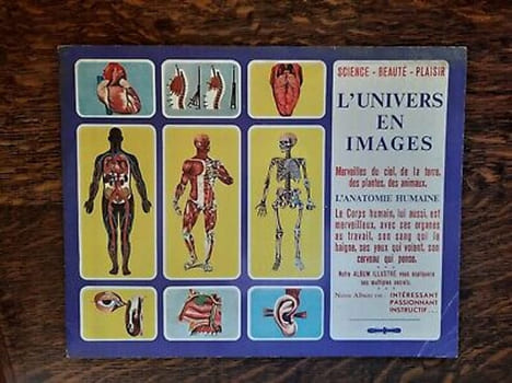 L'univers en Images - Science Beauté Plaisir L'anatomie Humaine. undefined