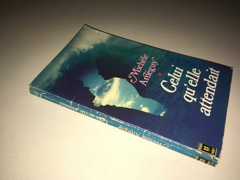 Celui qu'elle attendait Presses Pocket POCHE. Michèle Arnéguy