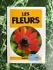 Minisolar Les fleurs. 