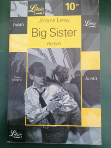 Jérôme Leroy Big Sister Librio