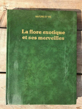 u tosco La flore exotique et ses merveilles. undefined