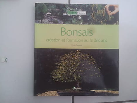 Martin Treasure BONSAIS création et formation au fil des ans. undefined