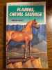 flamme cheval sauvage hachette. Walter Farley