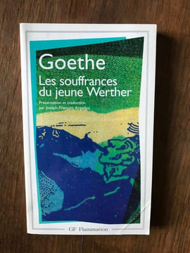 GOETHE LES SOUFFRANCES DU JEUNE WERTHER FLAMMARION. undefined