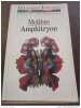 Amphitryon. Molière