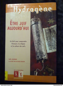 Être juif aujourd'hui un livre pour comprendre l'histoire la religion et la culture des juifs/
