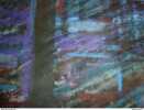 Composition abstraite-Pastels gras sur papier 65 cm x 50 cm. Madeleine Claass