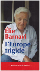 L'Europe frigide : Réflexions sur un projet inachevé