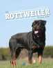 Le rottweiler (0). Haymann Franck