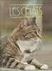 Les chats. 