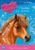 Les poneys magiques - tome 10 : Terribles vacances (10). Bentley Sue  Blot Grégory
