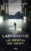 Le labyrinthe - le destin de Newt. James Dashner