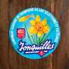Jonquilles. 