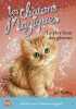 Les chatons magiques -le plus beau des gateaux. Sue Bentley