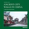 Ancient City Walls in China: A Heritage Rediscovered. Yang Guoqing  Hattstein Markus