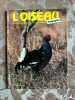 L'oiseau magazine n°31. 