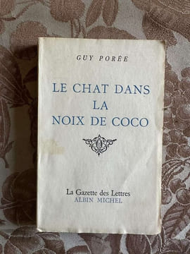 Le chat dans la noix de coco. undefined